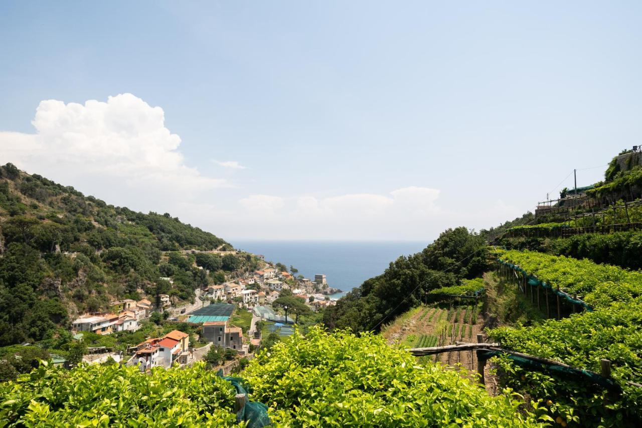 Limoneto Di Ercole Apartman Maiori Kültér fotó